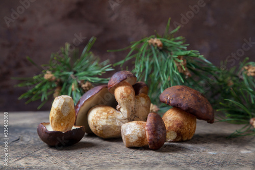 A lot of Imleria Badia or Boletus badius mushrooms commonly known as the bay bolete on vintage wooden background..