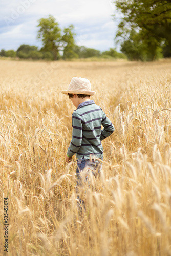 Golden wheat field and some green trees with a blue and cloudy day. A little boy  6 years old  walking and playing with a hat not to be sun burnt  and a green and blue shirt