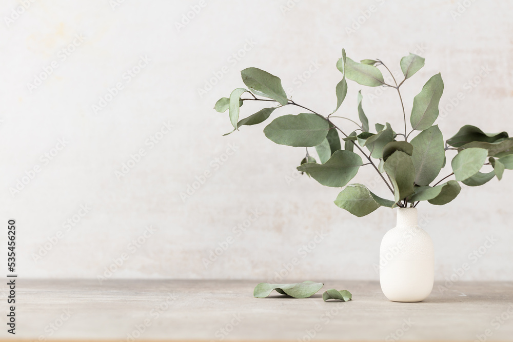 Green eucalyptus leaves in vase. Front view. Place for text, copy space, mockup. Green eucalyptus leaves in vase. Front view. Place for text, copy space, mockup.