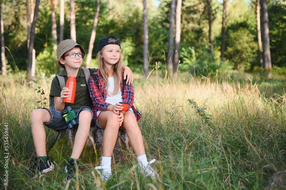 Fototapeta premium Two happy children having fun during forest hike on beautiful day in pine forest. Cute boy scout with binoculars during hiking in summer forest. Concepts of adventure, scouting and hiking tourism