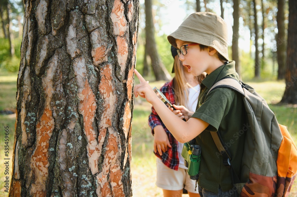 Naklejka premium Kids exploring nature with magnifying glass. Summer activity for inquisitive child.