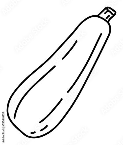 Zucchini. Vegetable sketch. Thin simple outline icon. Black contour line doodle hand drawn illustration