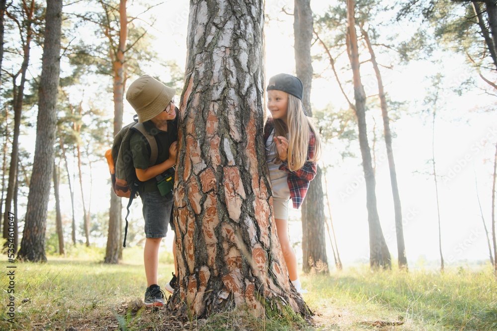 kids scouts in the forest. kids scouts in the forest.