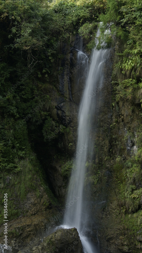 waterfall in the forest