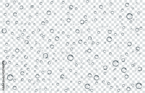 Oxygen air bubbles  flow  in water on white  background.