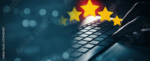 Картината върху платно 5 star rating. put a good mark