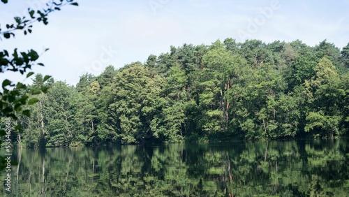 Perfectly reflecting trees in a lae photo