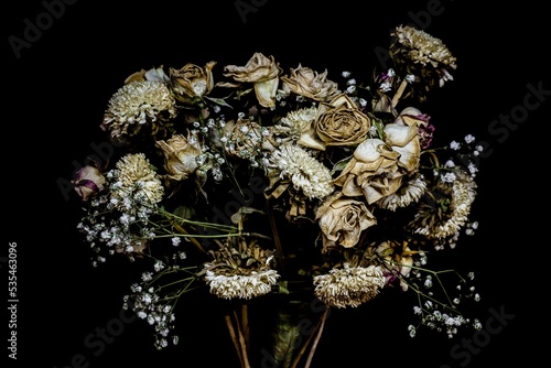 Fototapeta Naklejka Na Ścianę i Meble -  Closeup shot of dried wilting flowers on a black background