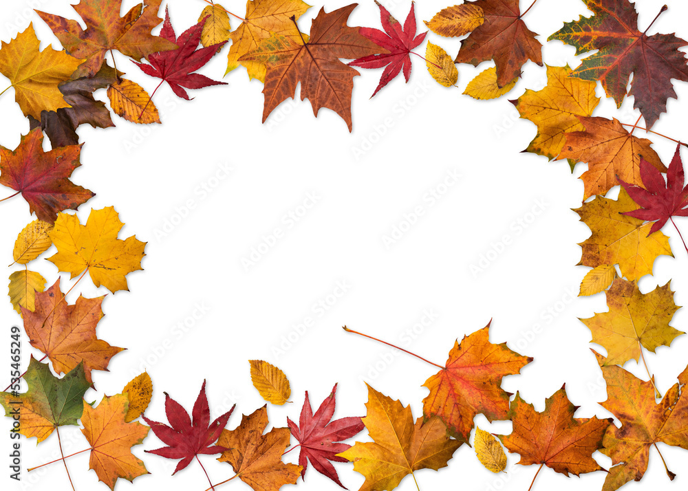 Autumn leaves border Autumn leaves border
