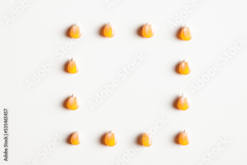 corn seeds yellow square composition isolated on white background