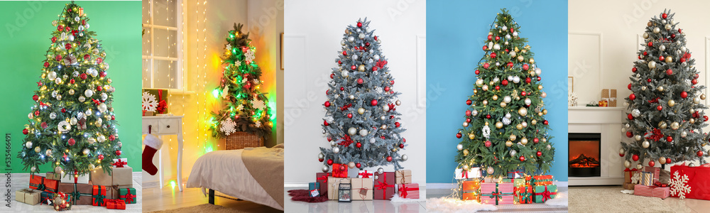 Collage of beautiful Christmas trees in domestic interiors