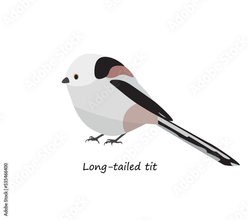 Long-tailed tit isolated on white background. Vector illustration