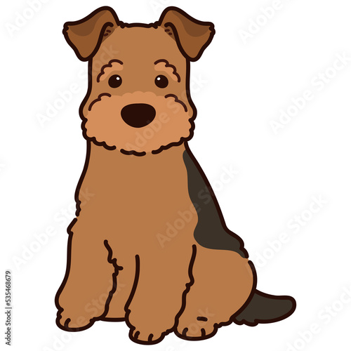 Simple and adorable Welsh Terrier illustration Sitting in Front view