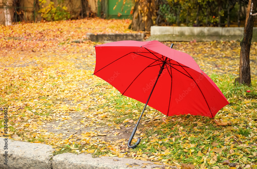 Stylish bright umbrella in park