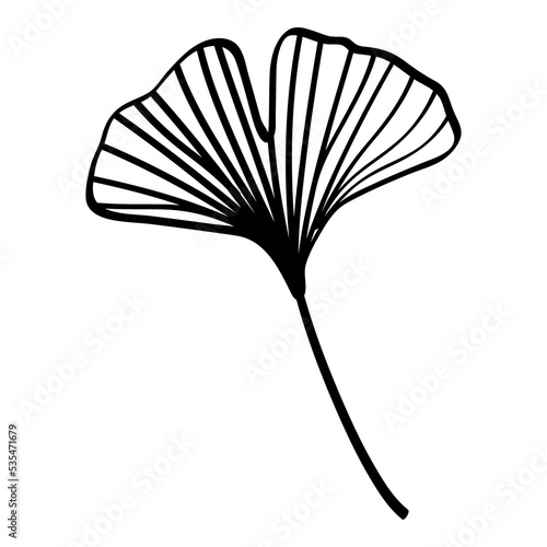 Black ginkgo leaves illustration