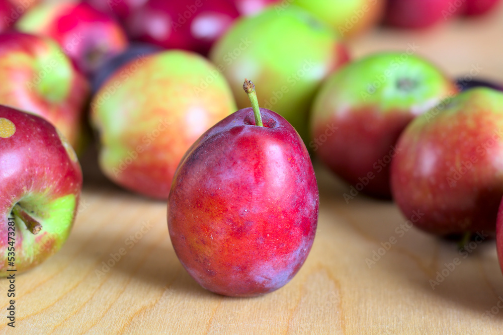 Concept for an simple autumn background. Close-up of fresh, organic fruit (apples, plums) on a wooden table. Shallow depth of field, copy space. Concept for an simple autumn background. Close-up of fresh, organic fruit (apples, plums) on a wooden table. Shallow depth of field, copy space.