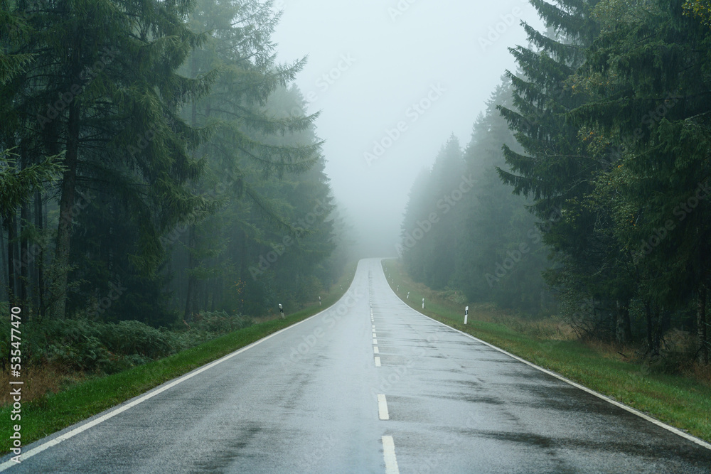 A foggy road through the forest. Fog and rain on the expressway.