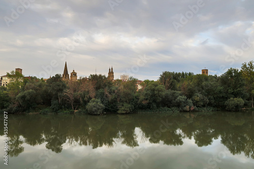 Ebro river  riverbank vegetation and city of Logro  o  La Rioja  Spain.
