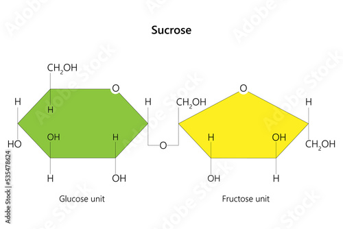 Sucrose, a disaccharide, is a sugar composed of glucose and fructose subunits. Vector illustration.