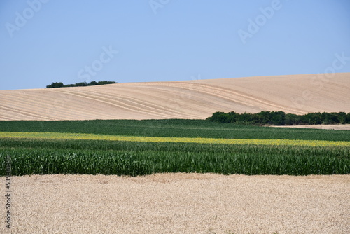Agricultural fields on beautiful hills across blue sky 