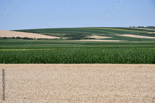 Agricultural fields on beautiful hills across blue sky 