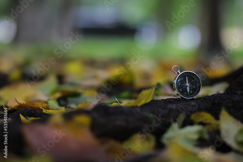 A compas lying on the wood surrounded by autumn leaves