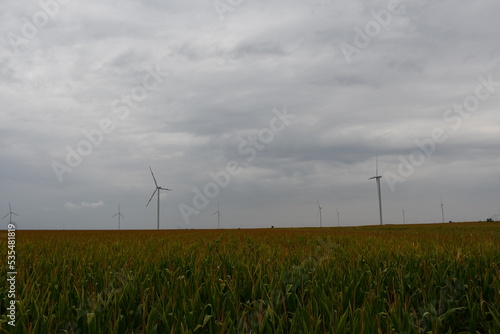 Wind turbines in the field