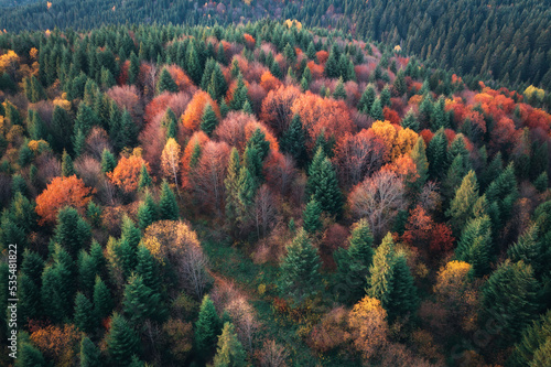 Aerial view of beautiful co...