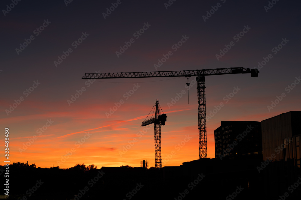 Fototapeta premium cranes in the evening sky