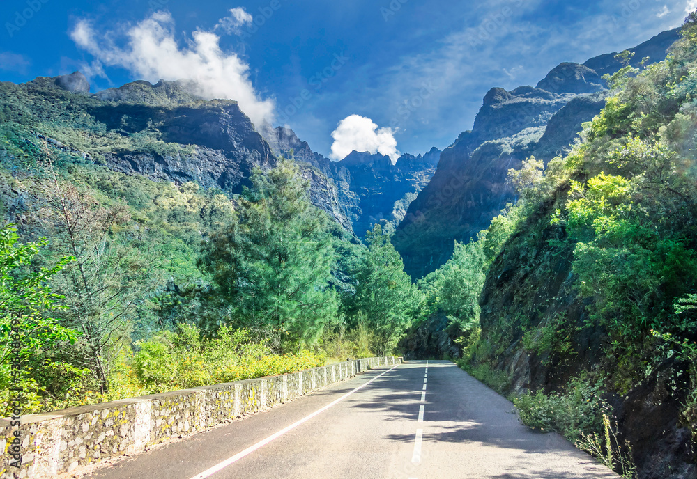 Tourism and transport road surrounded by tropical forest on Mauritius island in the summertime