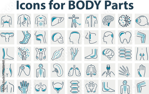Set of icons for body parts