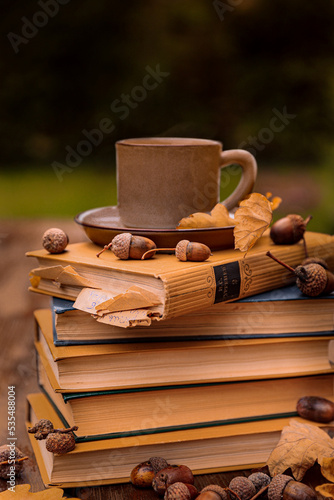 Herbs Bücher Eicheln Stillleben