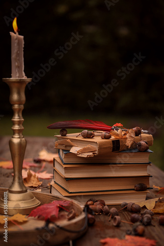 Herbs Bücher Eicheln Stillleben