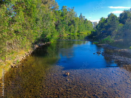 River in the forest