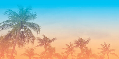The banner of Summer colorful theme with palm trees background as texture frame background