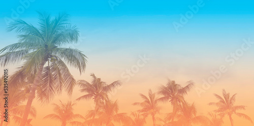 The banner of Summer colorful theme with palm trees background as texture frame background