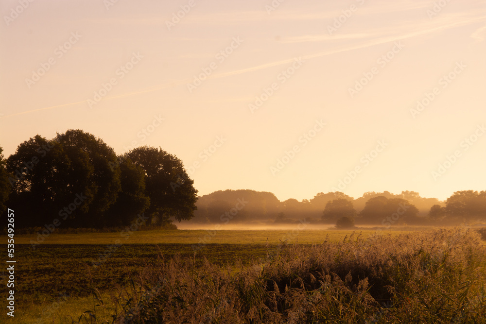 Fototapeta premium Feld in Rot 