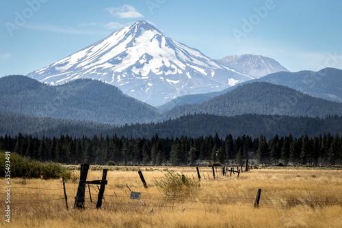 Gifford Pinchot national forest view with a yellow field and snowy mountain, blue sky background photo