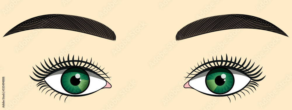Green eyes, black eyebrows. Vector flat design. Green eyes, black eyebrows. Vector flat design.
