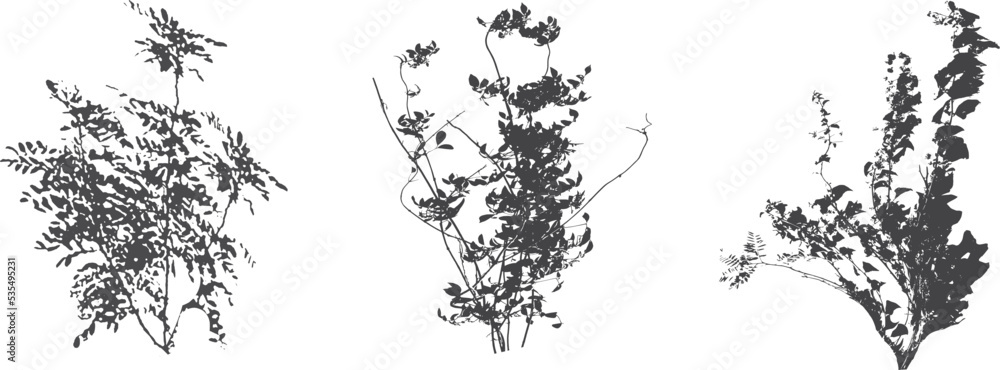 Naklejka premium Set of ornamental black plant in the form of a hedge.Realistic garden shrub, seasonal bush, boxwood, tree crown bush foliage.For decorate of a park, a garden or a fence.