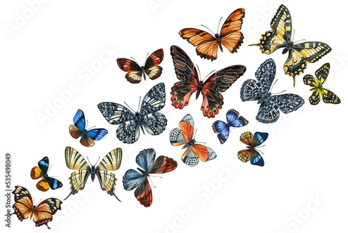 Swarm tropical butterflies on an isolated white background, watercolor painting. Hand painted fashion colors © Hanna