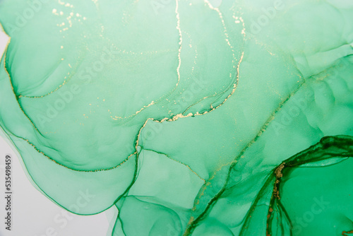Abstract alcohol ink fluid art background. Green color with gold