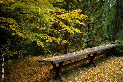 Autumn in the park leaves colored on the ground at an empty bench