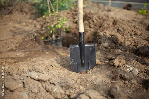 Shovel in ground. Planting trees. Details of planting plants in park. Garden tools.