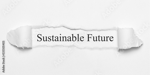 Sustainable Future 