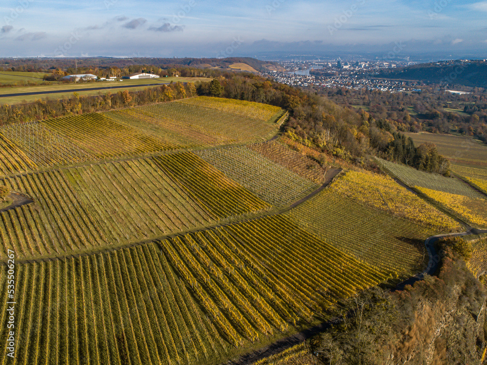 Naklejka premium Aerial view Famous German Wine Region Moselle River Lay and Guels village Autumn Fall colors