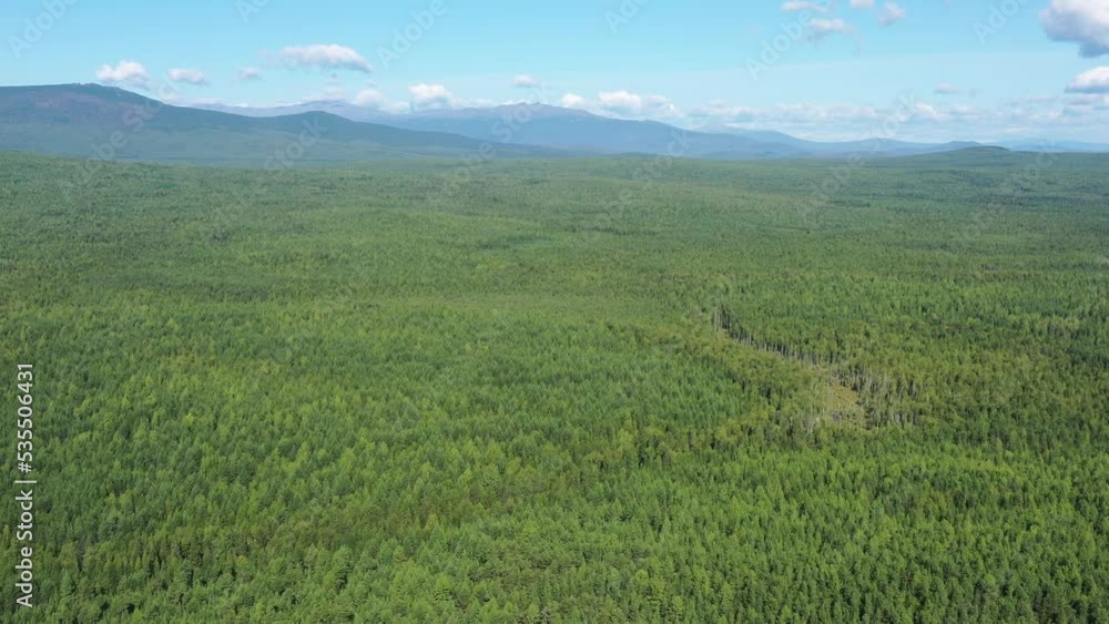 Flight over the forest, swamp and lake. View from above Flight over the forest, swamp and lake. View from above