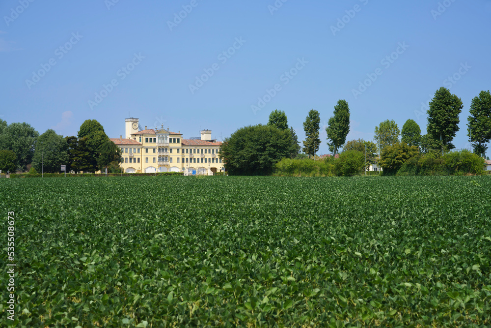 Summer landscape on the Colli Euganei, Padua, Italy