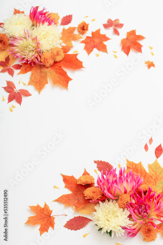 autumn leaves and  flowers composition on white background