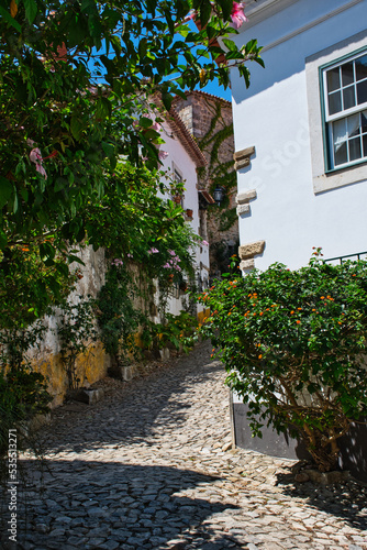 Óbidos is one of the most beautiful and picturesque towns in Portugal, which is surrounded by its impressive walls and dominated by its imposing castle © jroberphotos